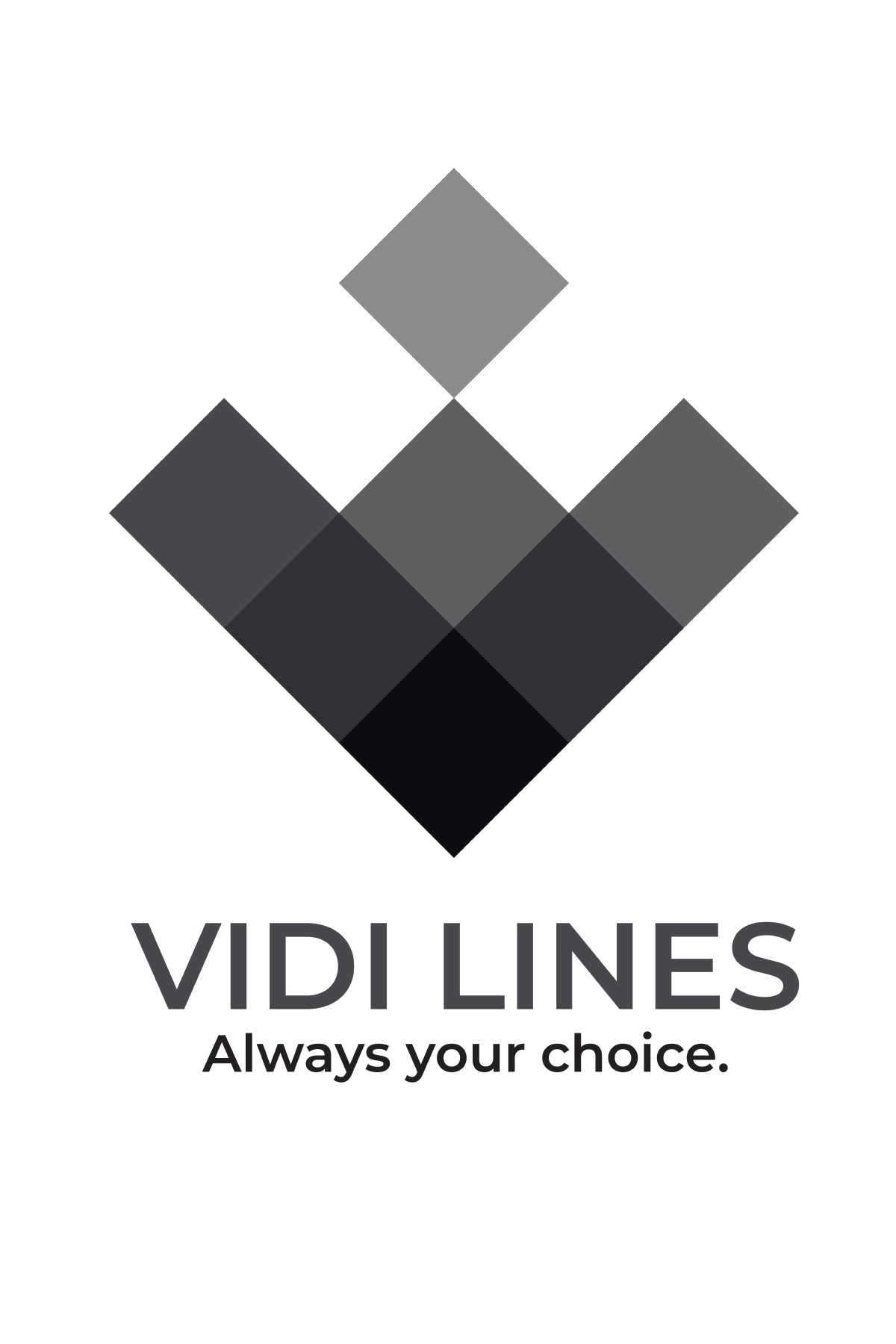 Vidilines Logo